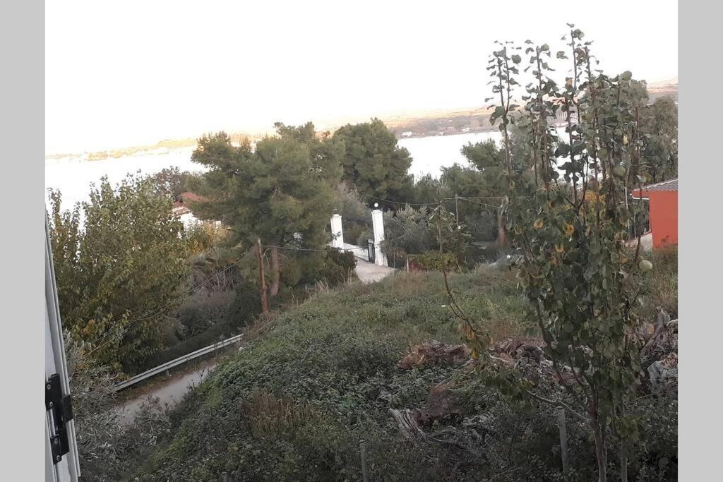 Amazing Sea View-Neos Pyrgos Beach -Evoia Greece Neos Pirgos Exterior photo